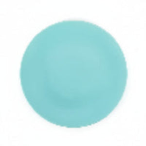 Mini Flying Disc Catching Game